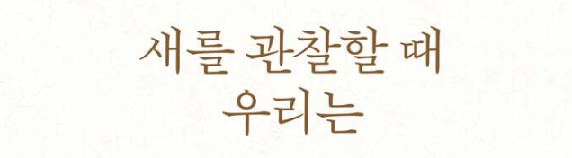 이 폰트 궁금해요
